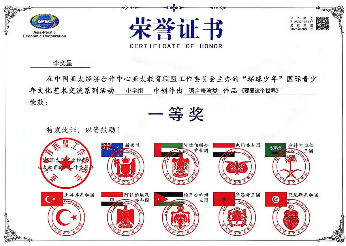 Chinese Honor Certificate — First Prize